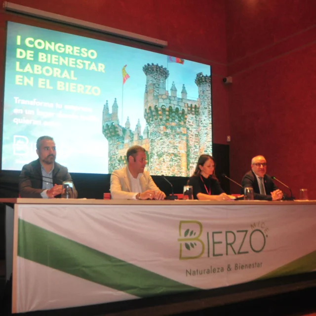 Jornada sobre el Bienestar Laboral, gracias a @bienestarlaboralbierzo #bierzomice @aytoponferrada @ccbierzo @juntadecastillayleon #nosimpulsa @castillotemplarios  y resto de colaboradores.